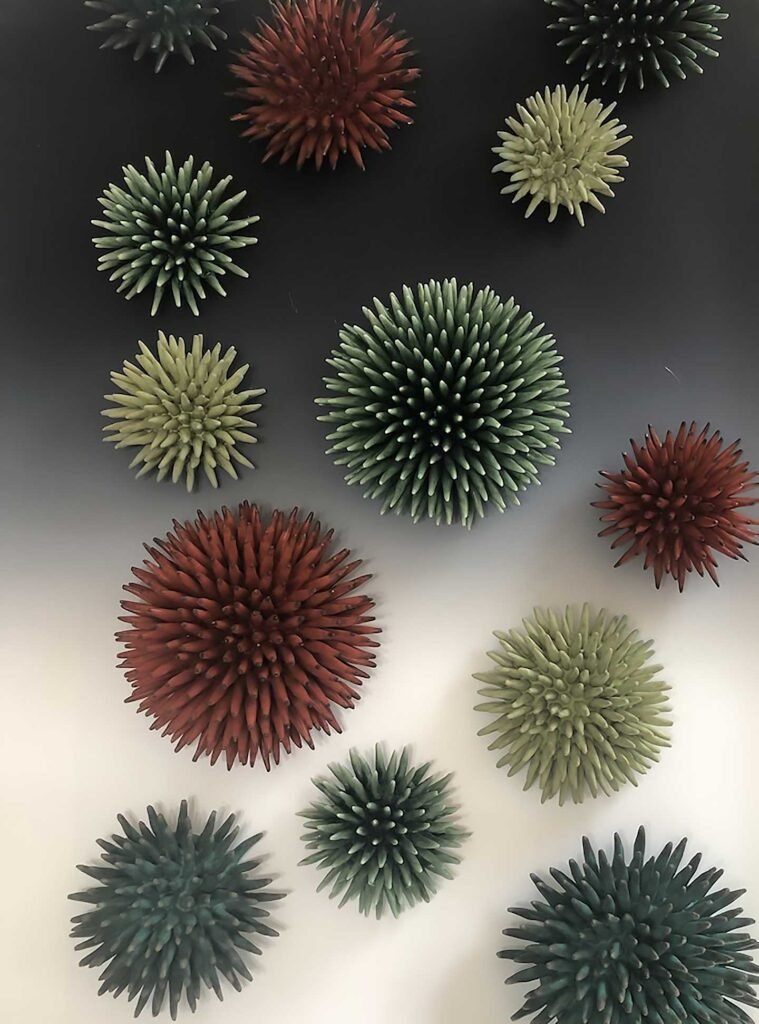 Urchins