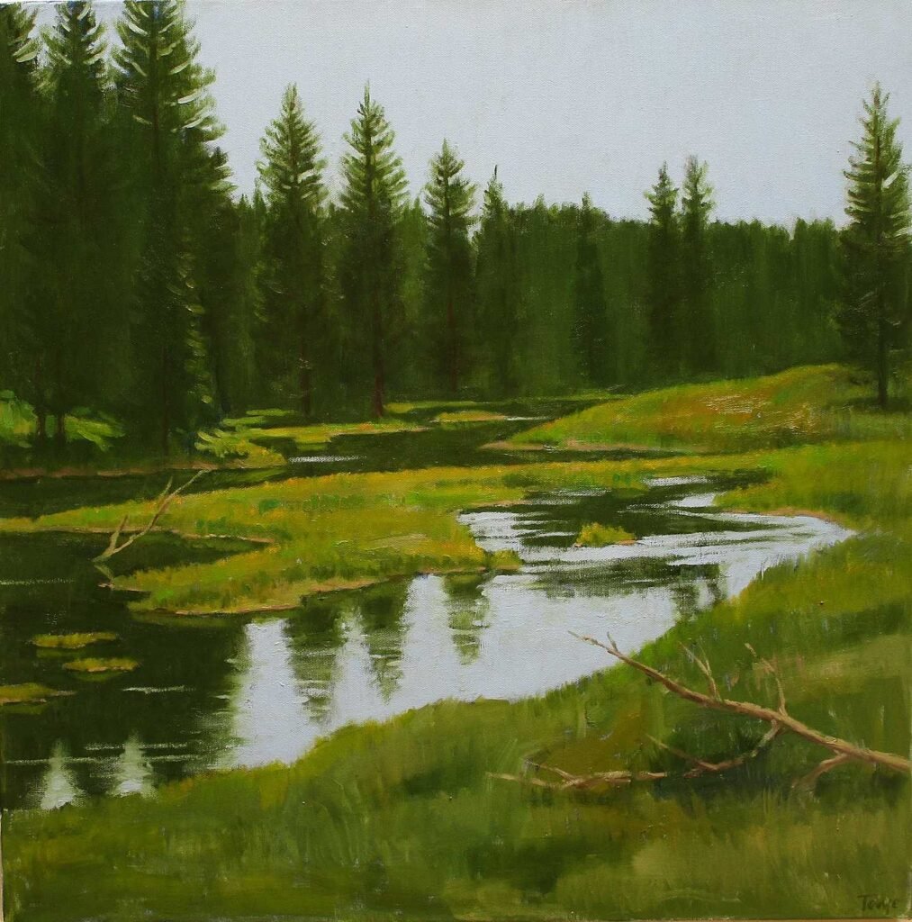 Headwaters of the Snake River