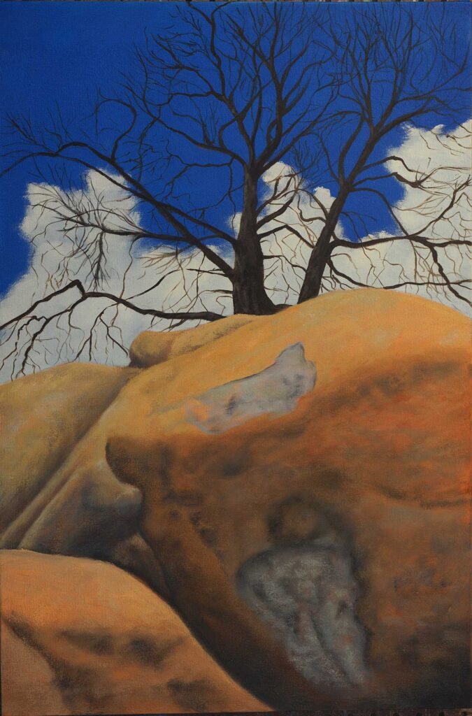 Rocks, Tree, Sky