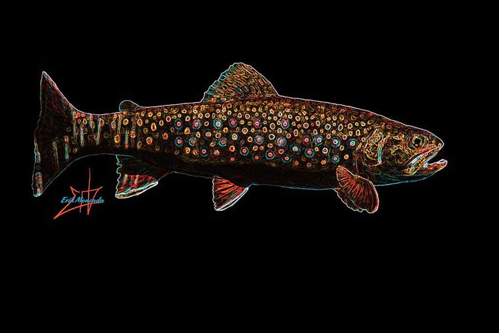 Night Hatch, Brook Trout