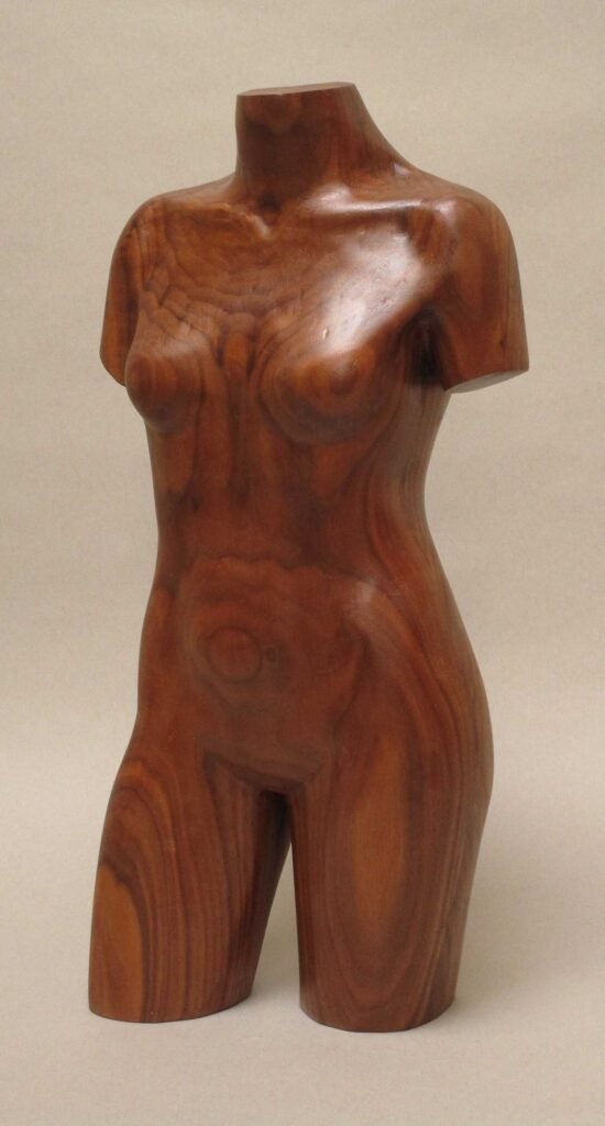 Dark Torso