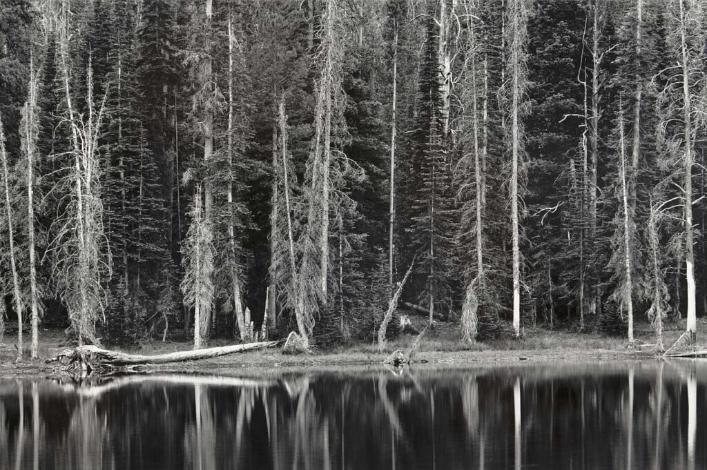 Prairie Lake