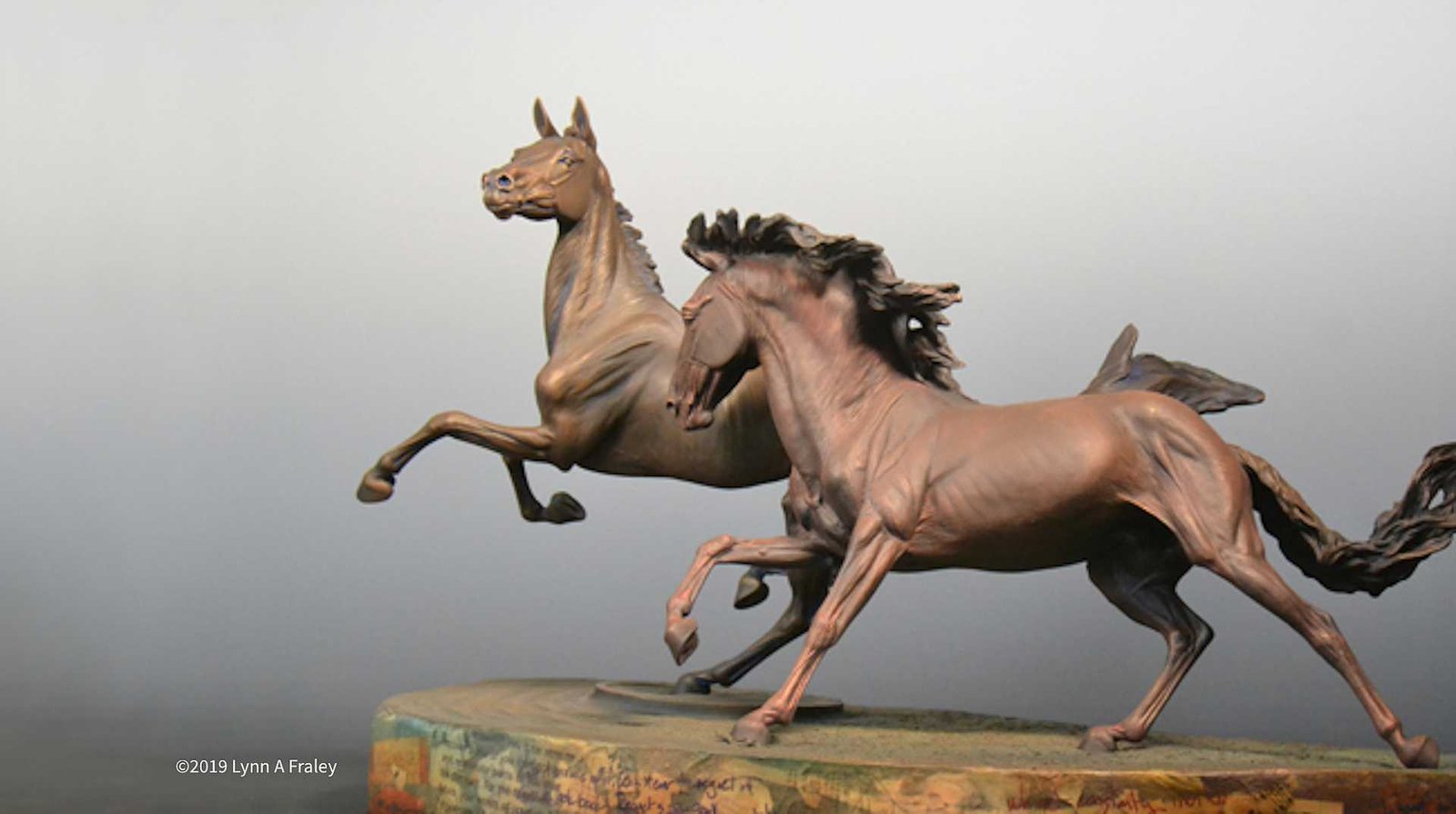 Lynn Fraley - Hero Image