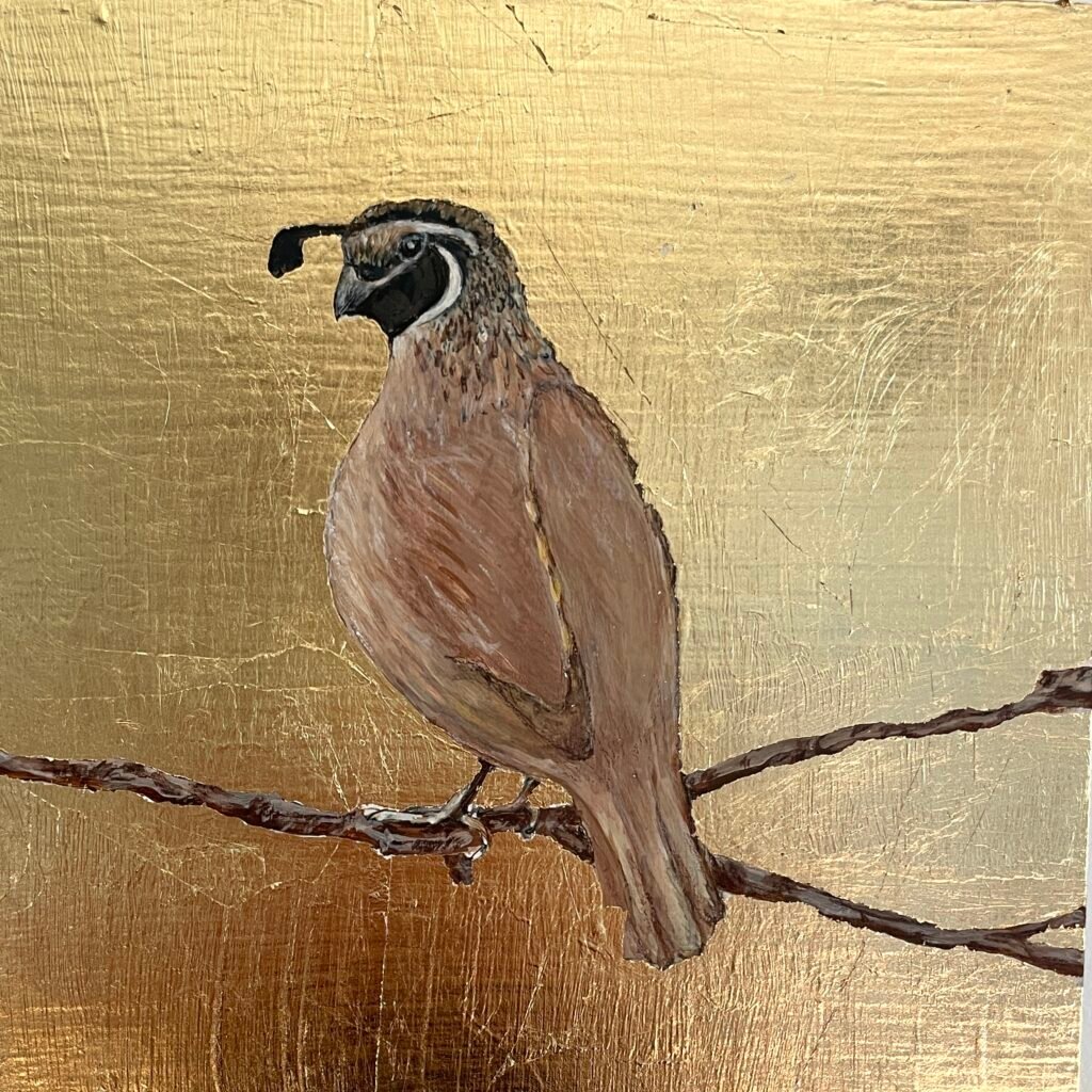 Calfornia Quail