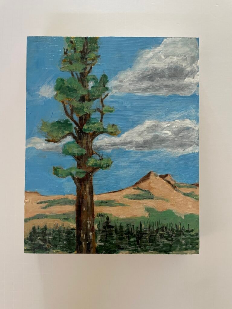Sequoia