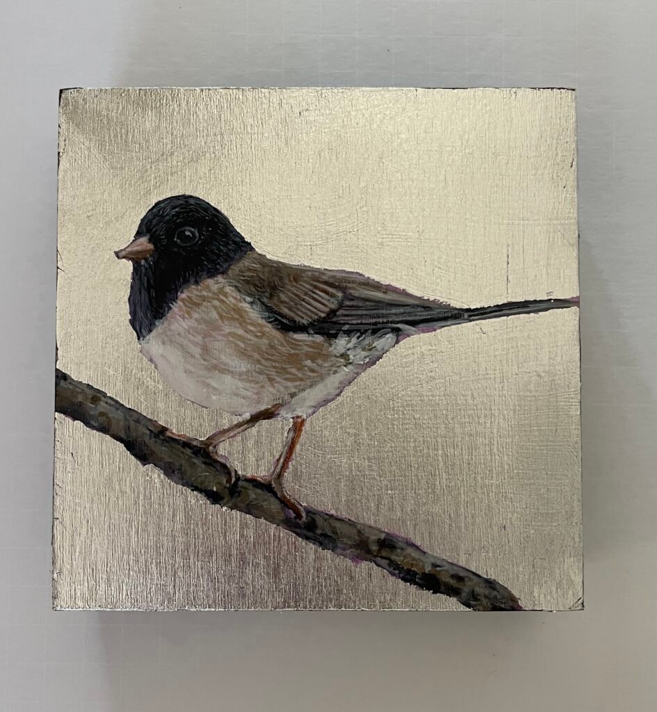 Junco