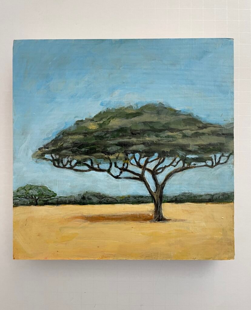 Acacia, Serengeti