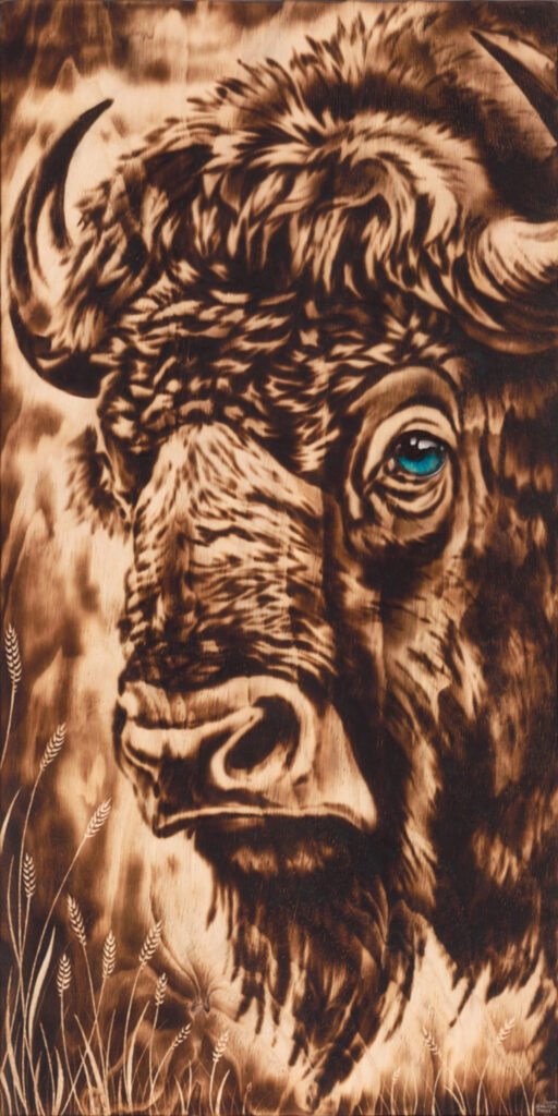 Legend of the Blue Eyed Buffalo