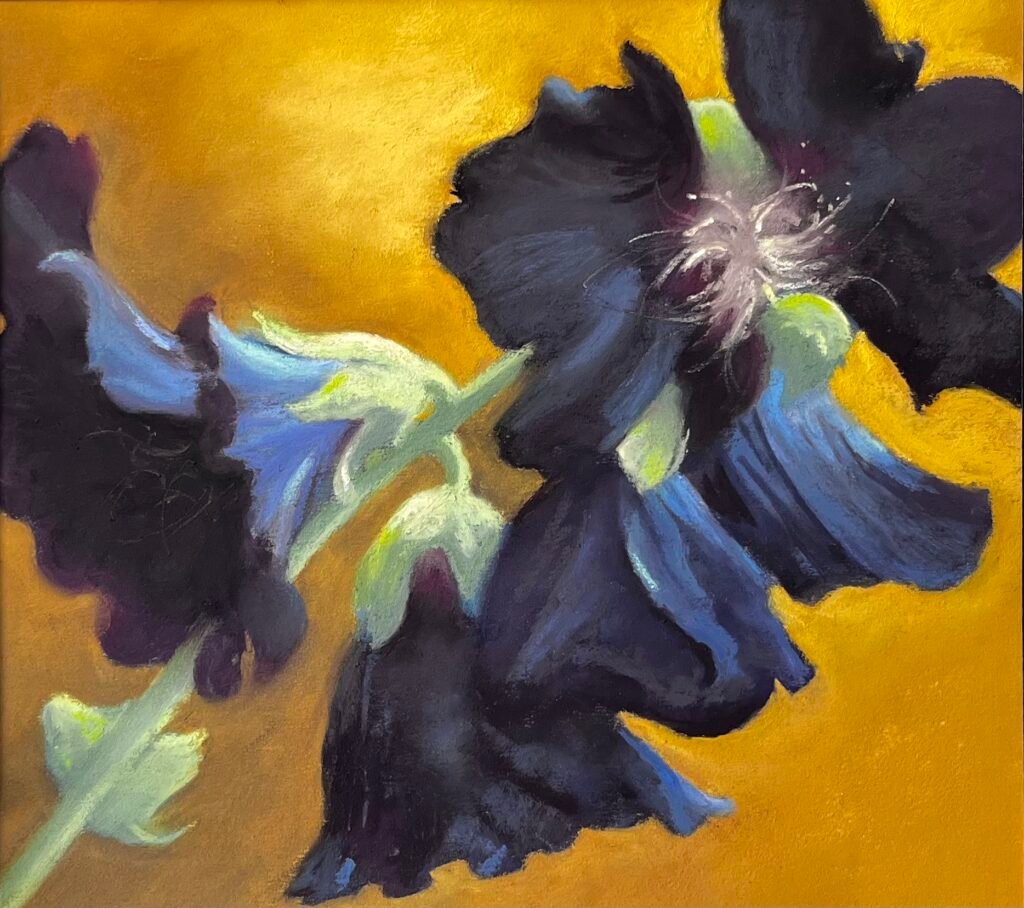 Dark Hollyhocks 2