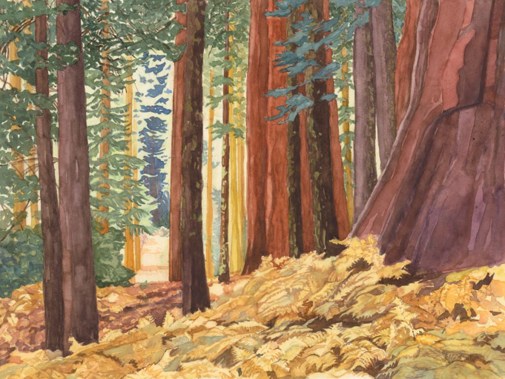 Kings Canyon Nat. Park, CA