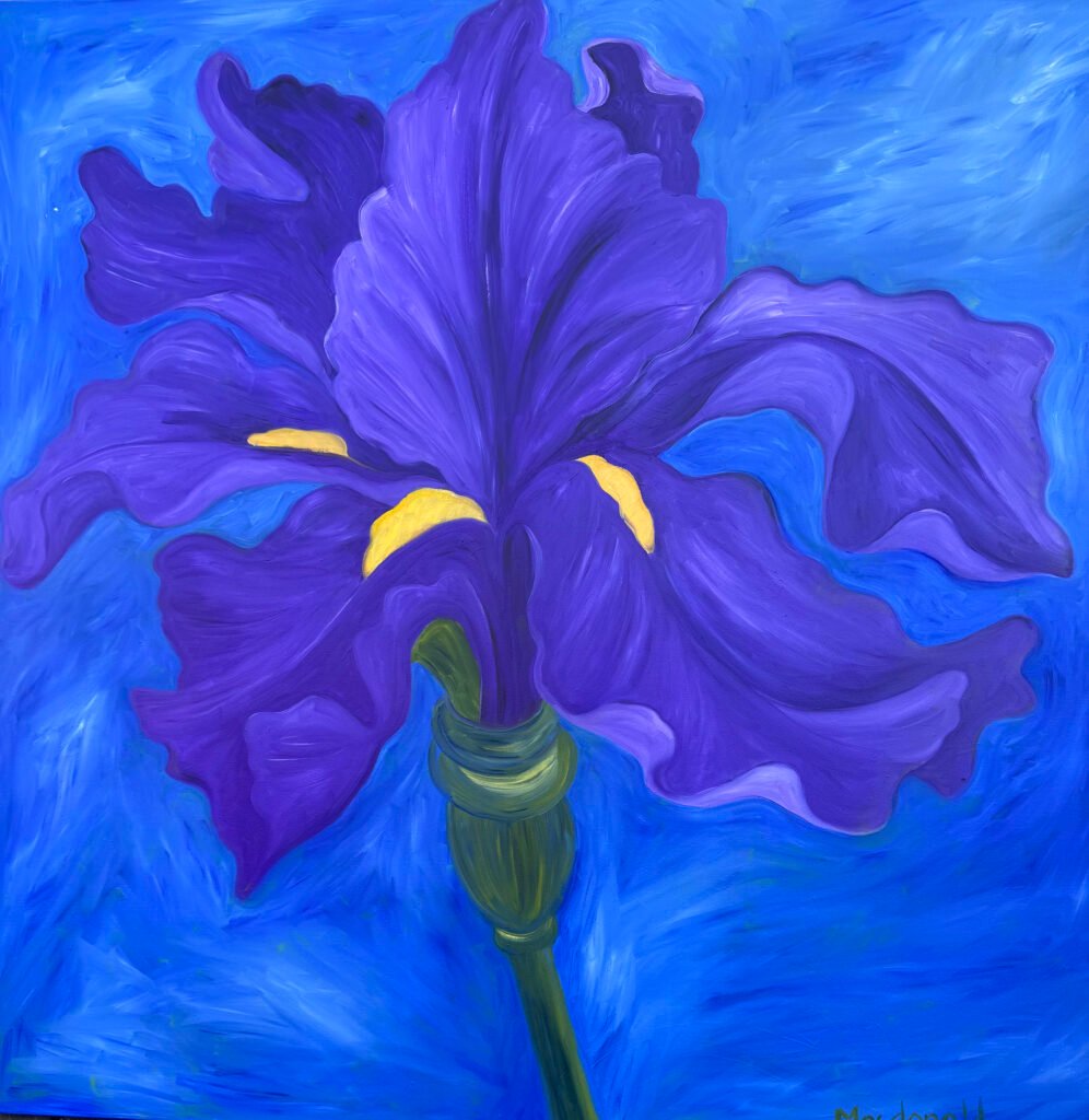ArtfinderGiantPurpleIris-1.jpg