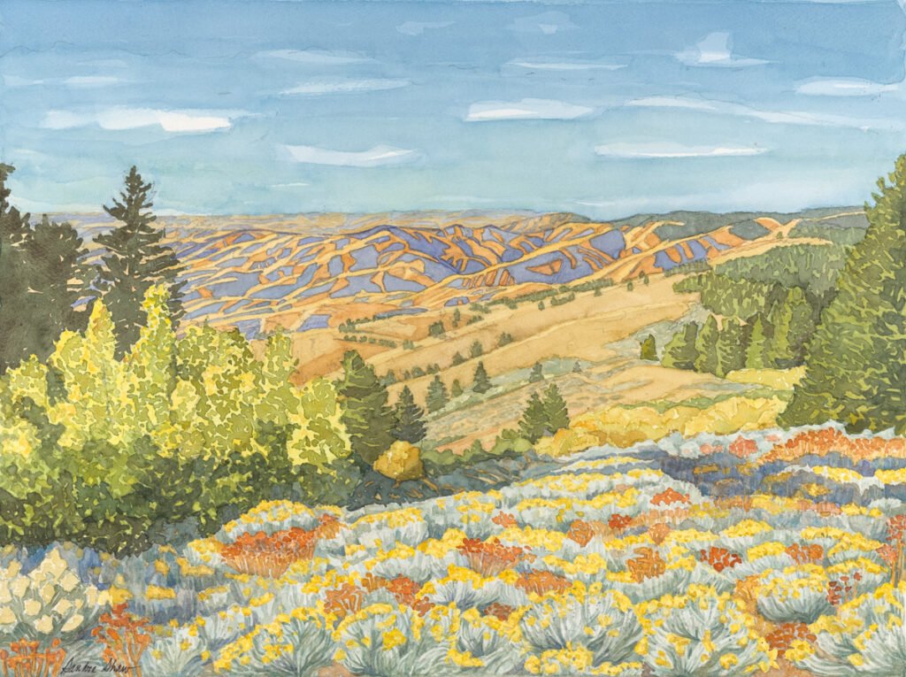 Boise-Ridge-From-Lucky-Peak