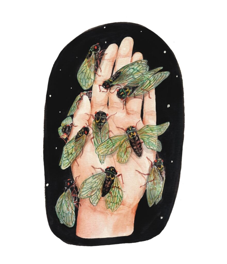 Blight
